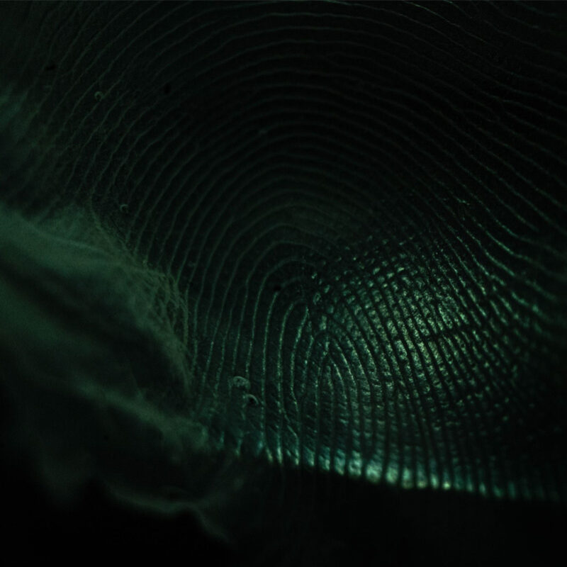 Cirillikus---Alessandra-Cirilli