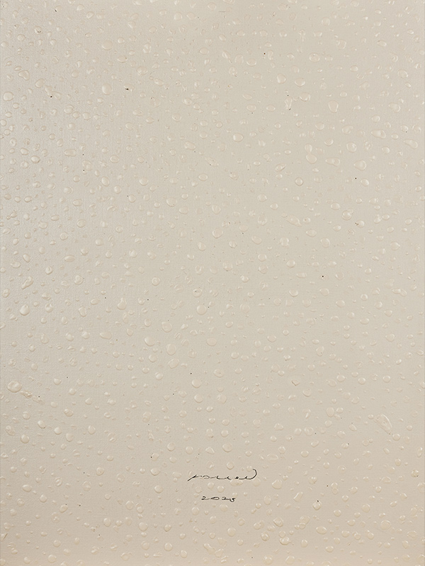 Remy Pollet | Arte Laguna World Remy Pollet | Arte Laguna World